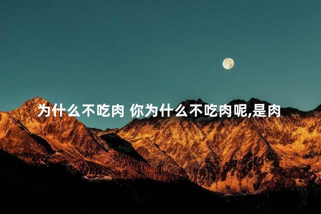 为什么不吃肉 你为什么不吃肉呢,是肉不好吃吗